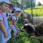 phoca_thumb_m_motlci vlet 8 Fotogalerie